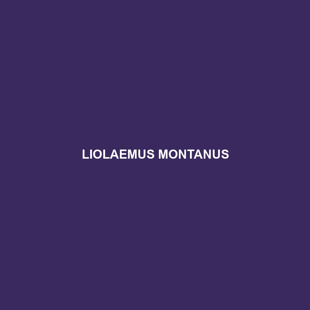 Liolaemus montanus