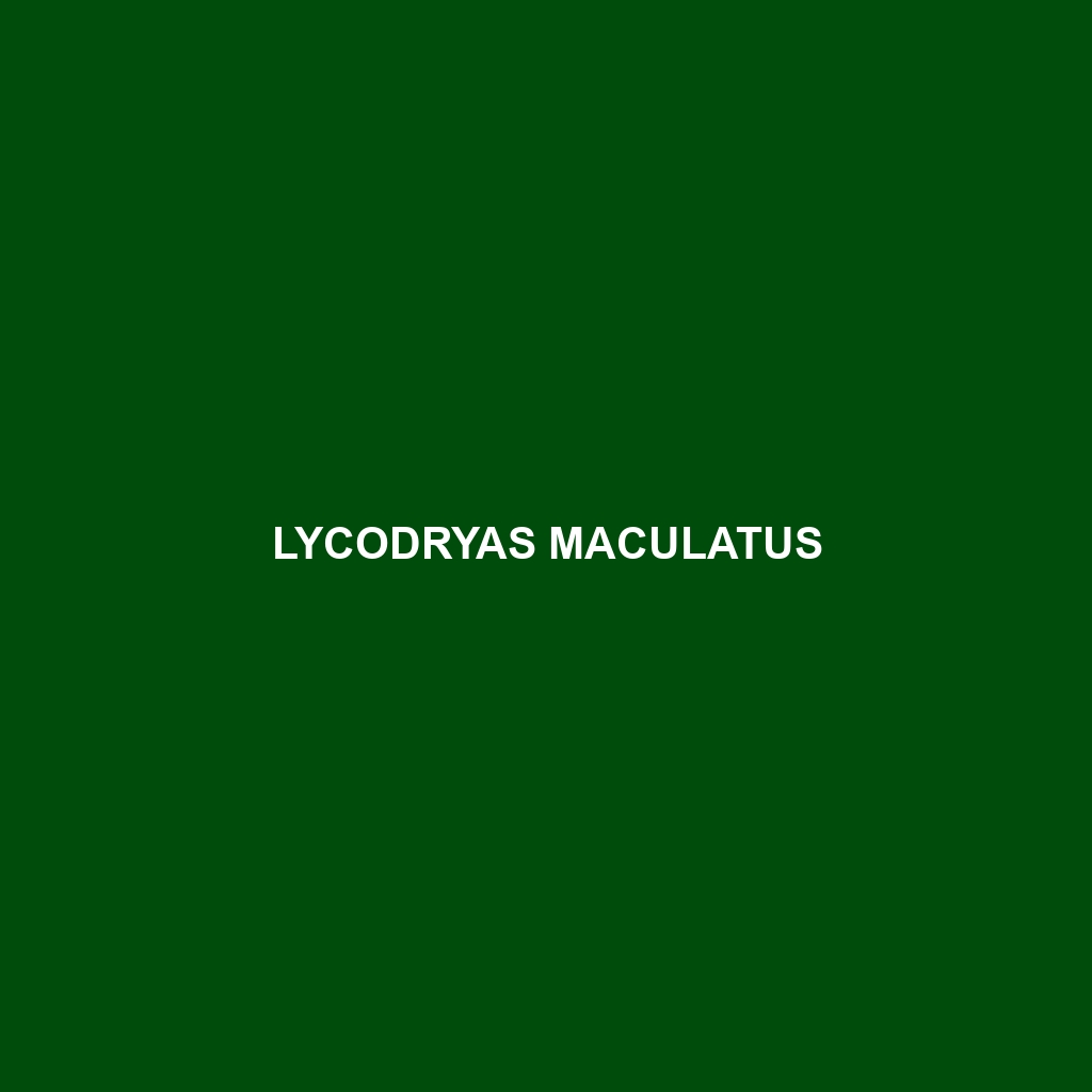 Lycodryas maculatus