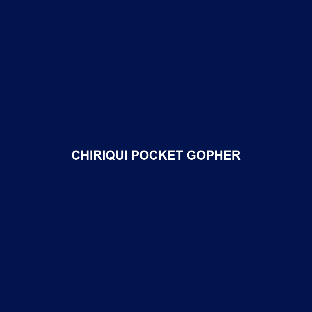 Chiriqui Pocket Gopher