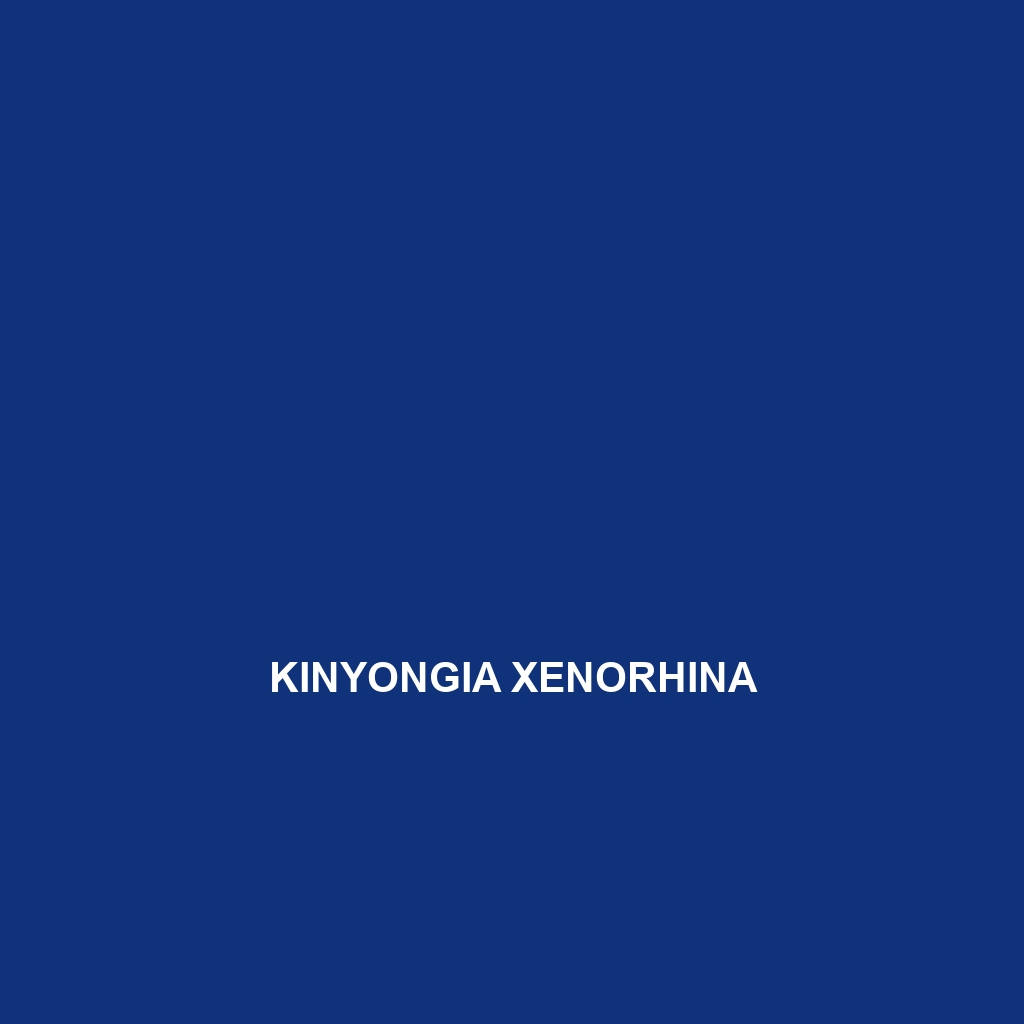 Kinyongia xenorhina