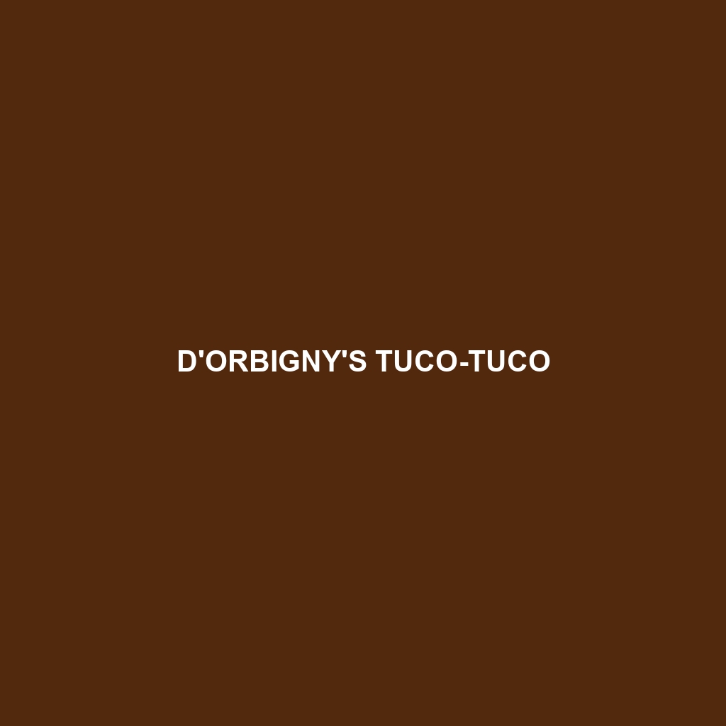 D'Orbigny's Tuco-tuco