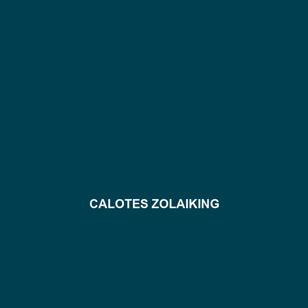 Calotes zolaiking