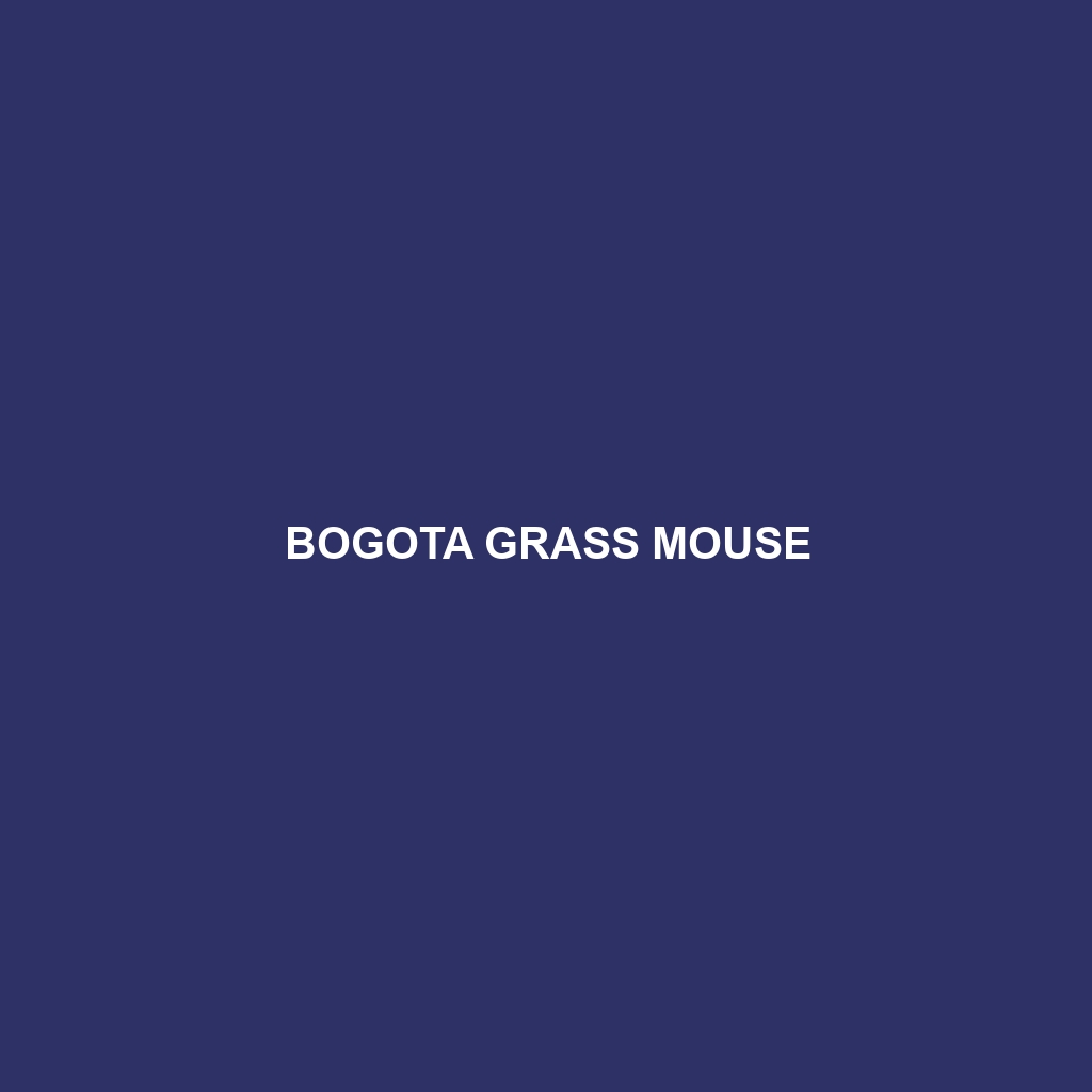 Bogota Grass Mouse