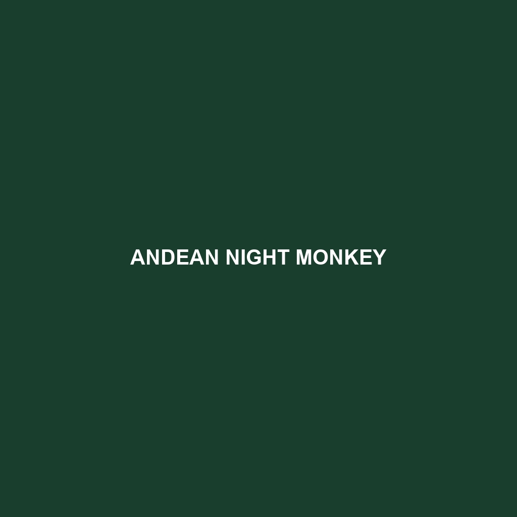 Andean Night Monkey