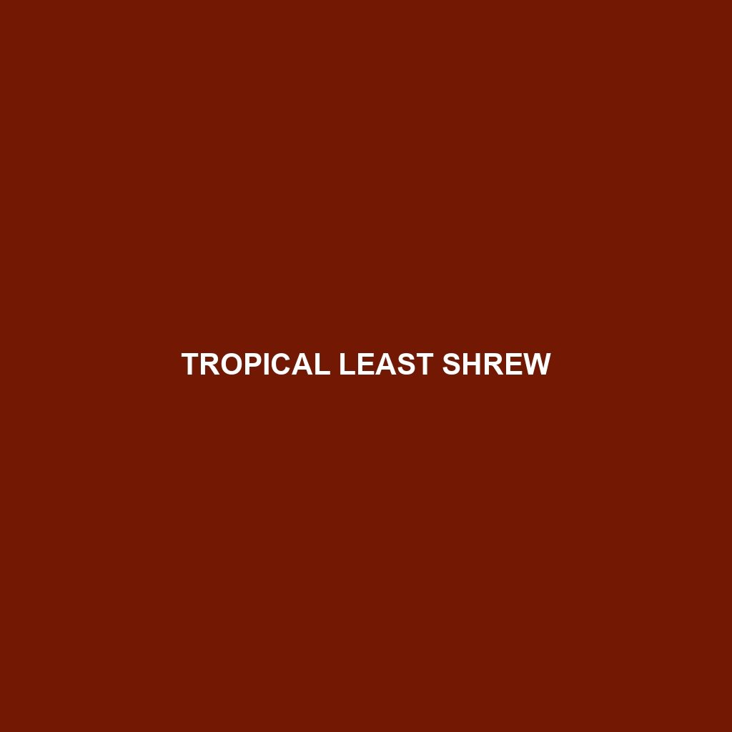 Tropical Least Shrew