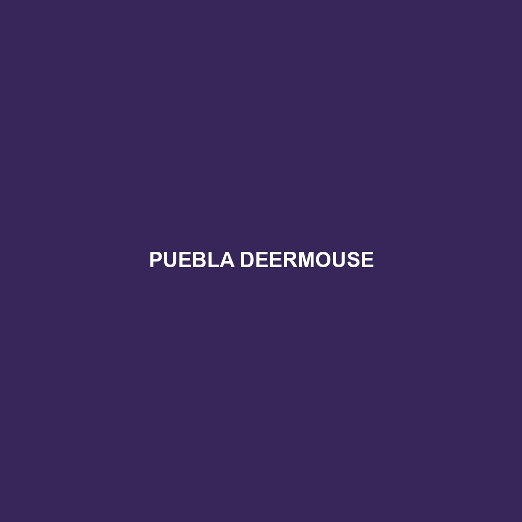 Puebla Deermouse