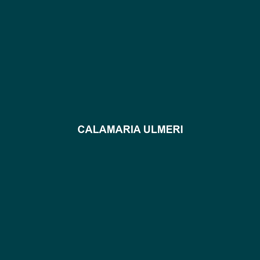 Calamaria ulmeri