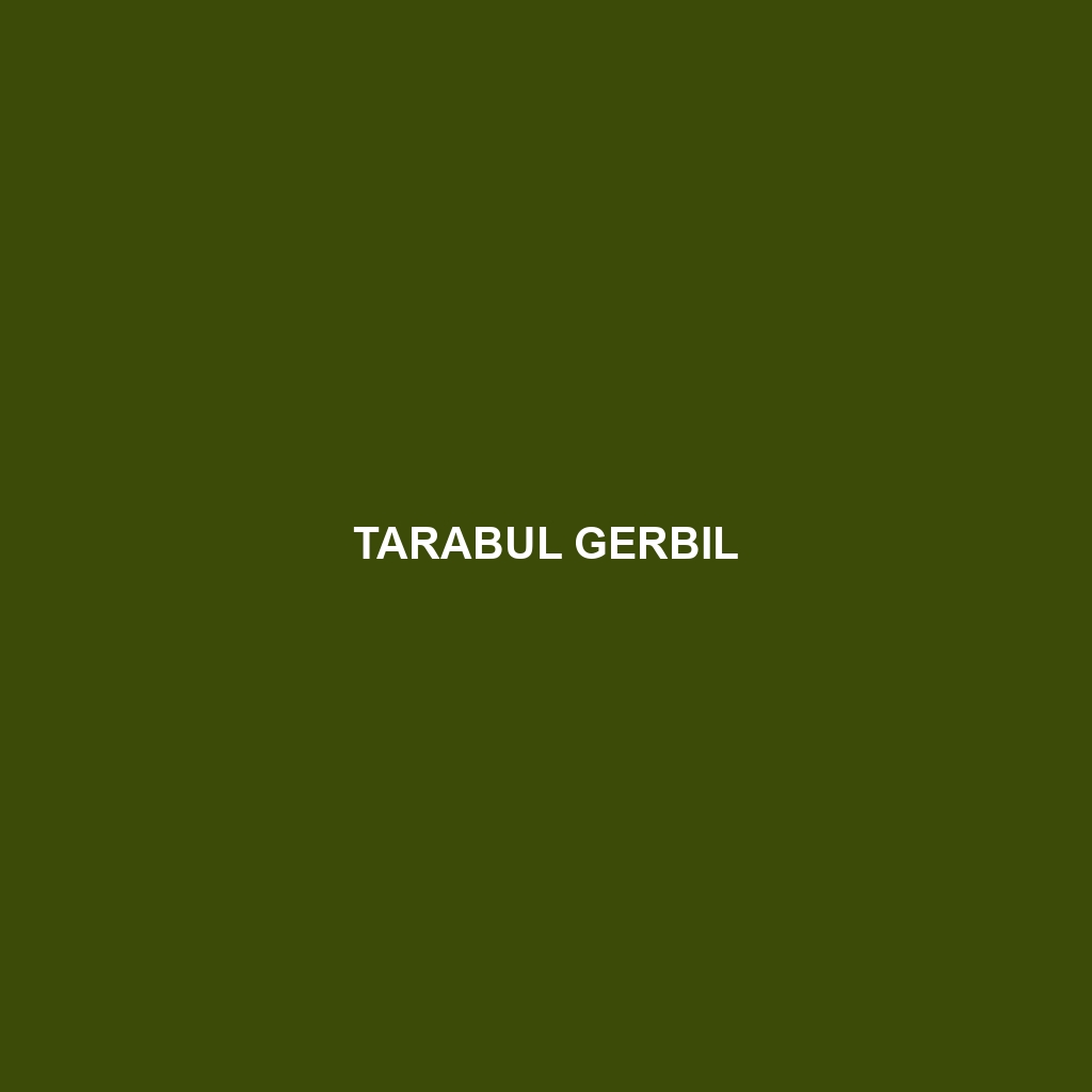 Tarabul Gerbil