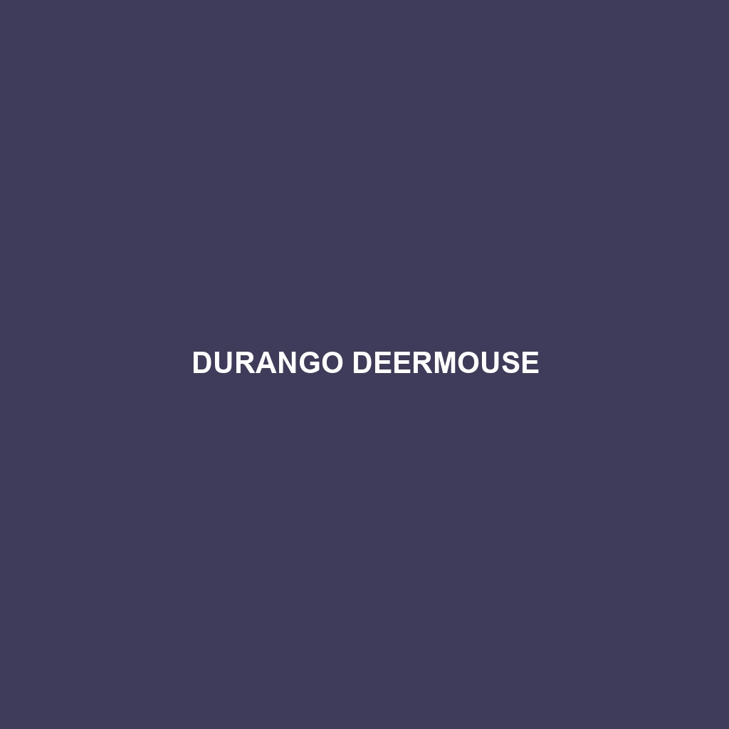 Durango Deermouse