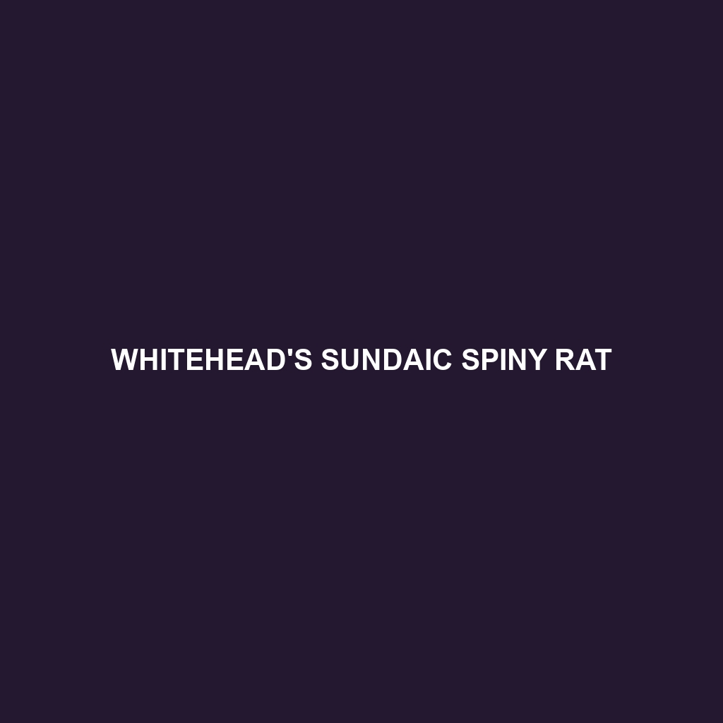 Whitehead's Sundaic Spiny Rat