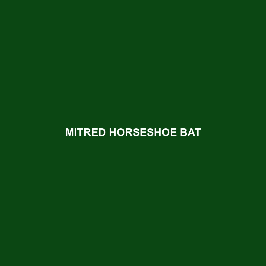 Mitred Horseshoe Bat