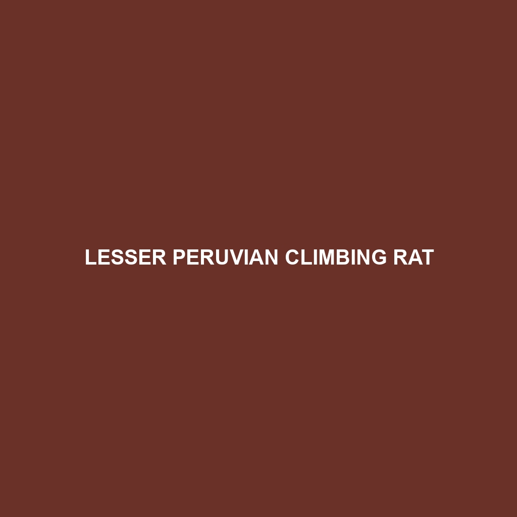 Lesser Peruvian Climbing Rat