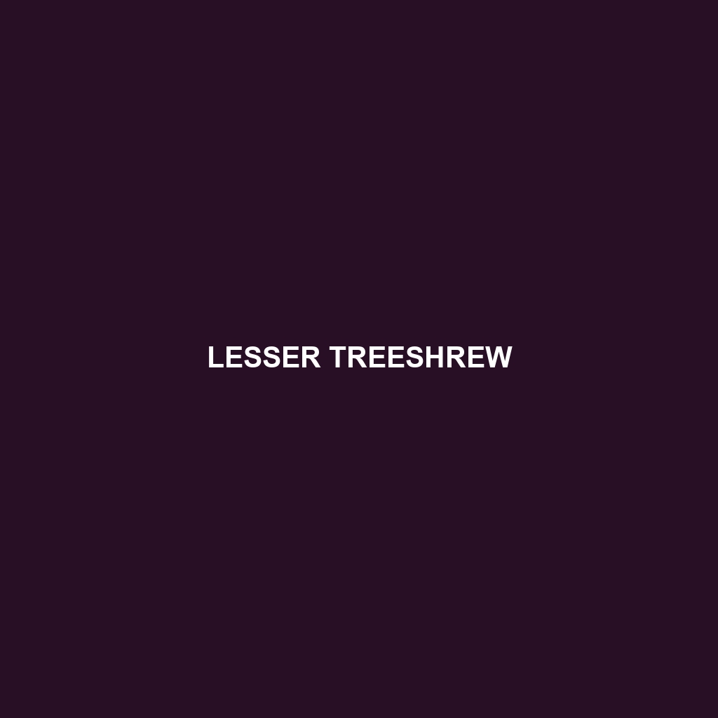 Lesser Treeshrew