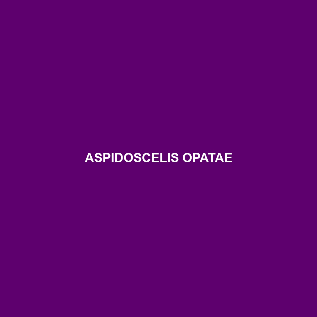 Aspidoscelis opatae