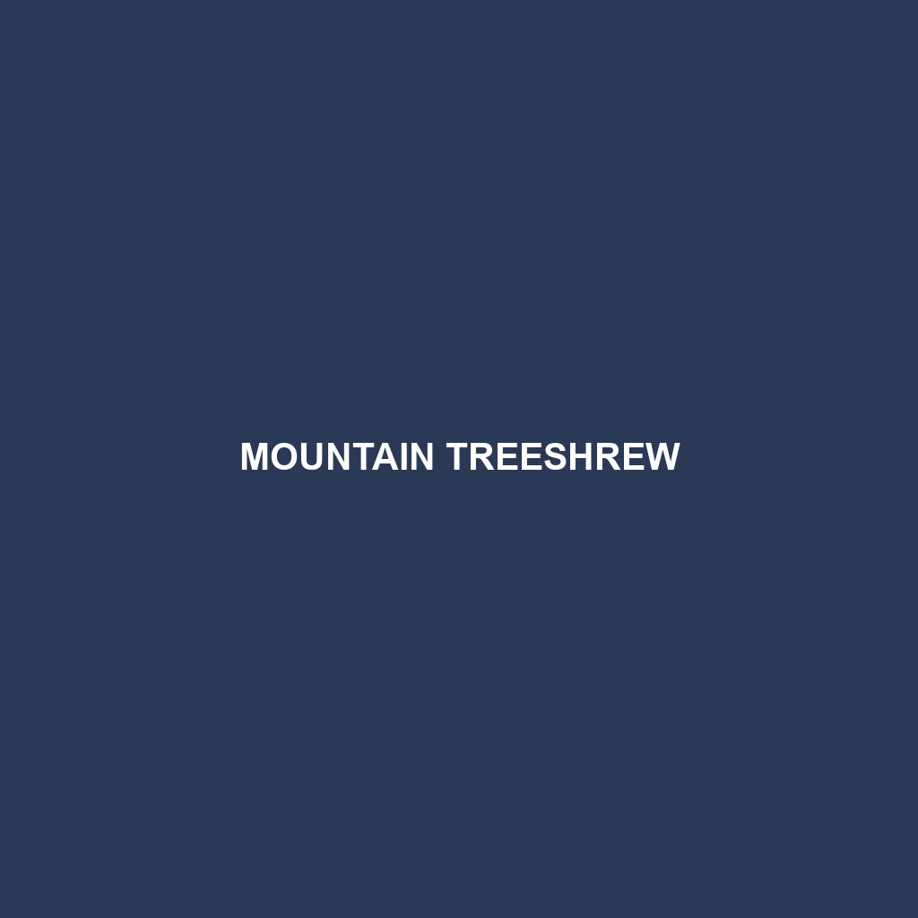 Mountain Treeshrew