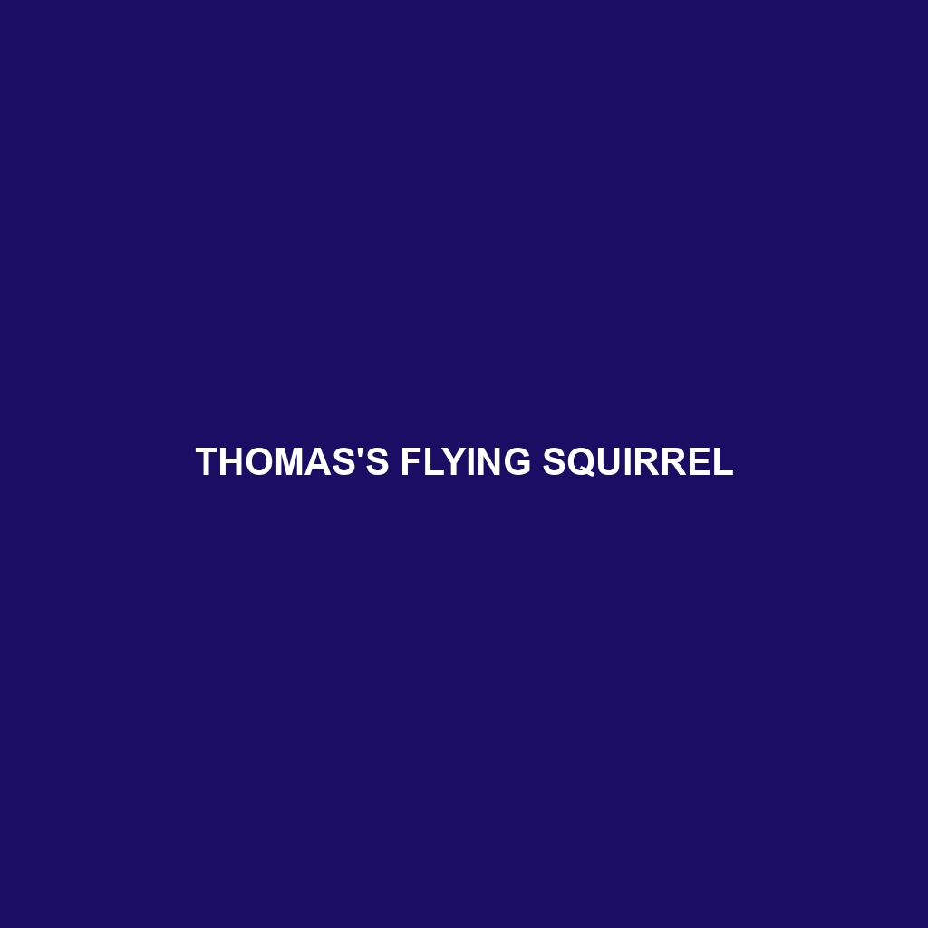 Thomas's Flying Squirrel