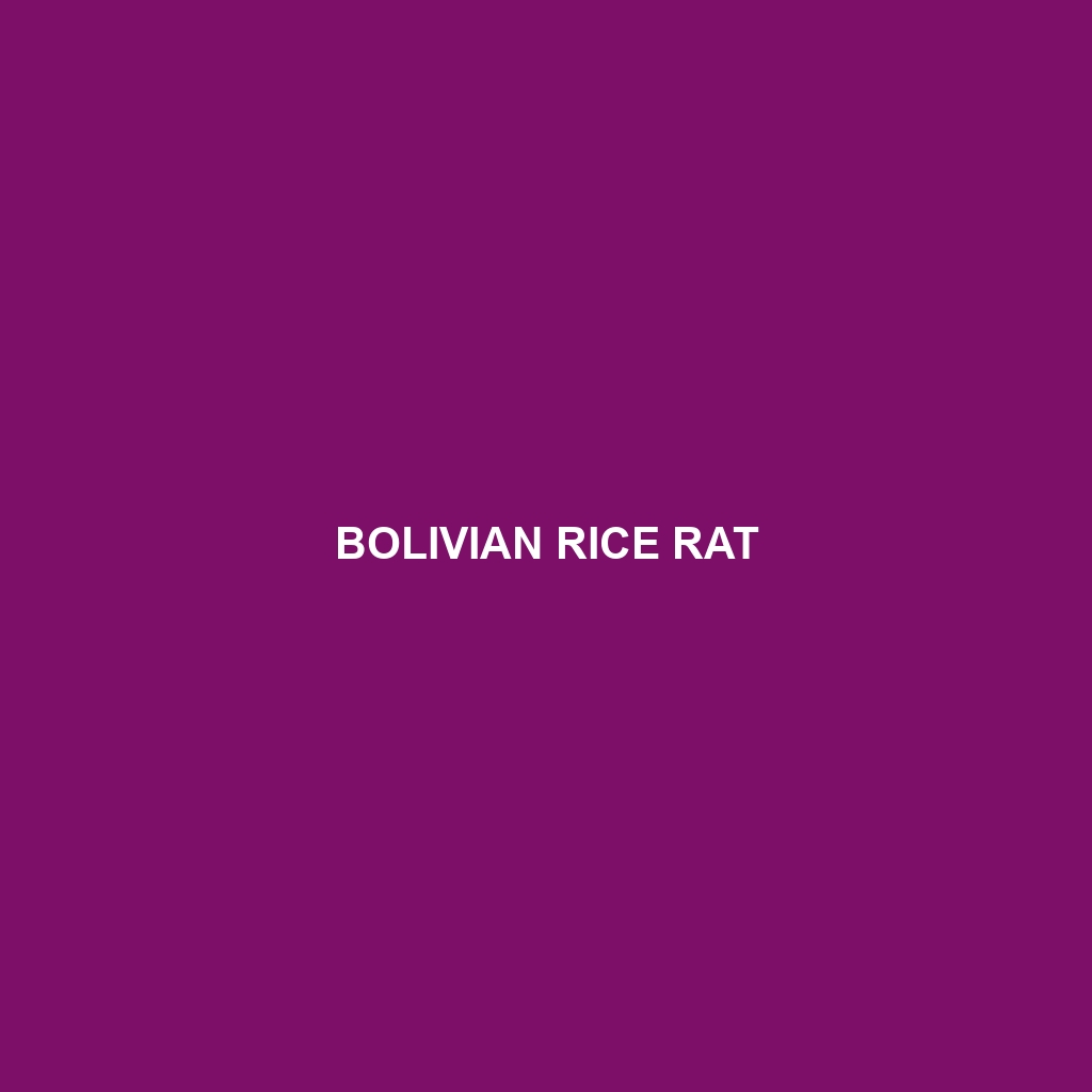 Bolivian Rice Rat