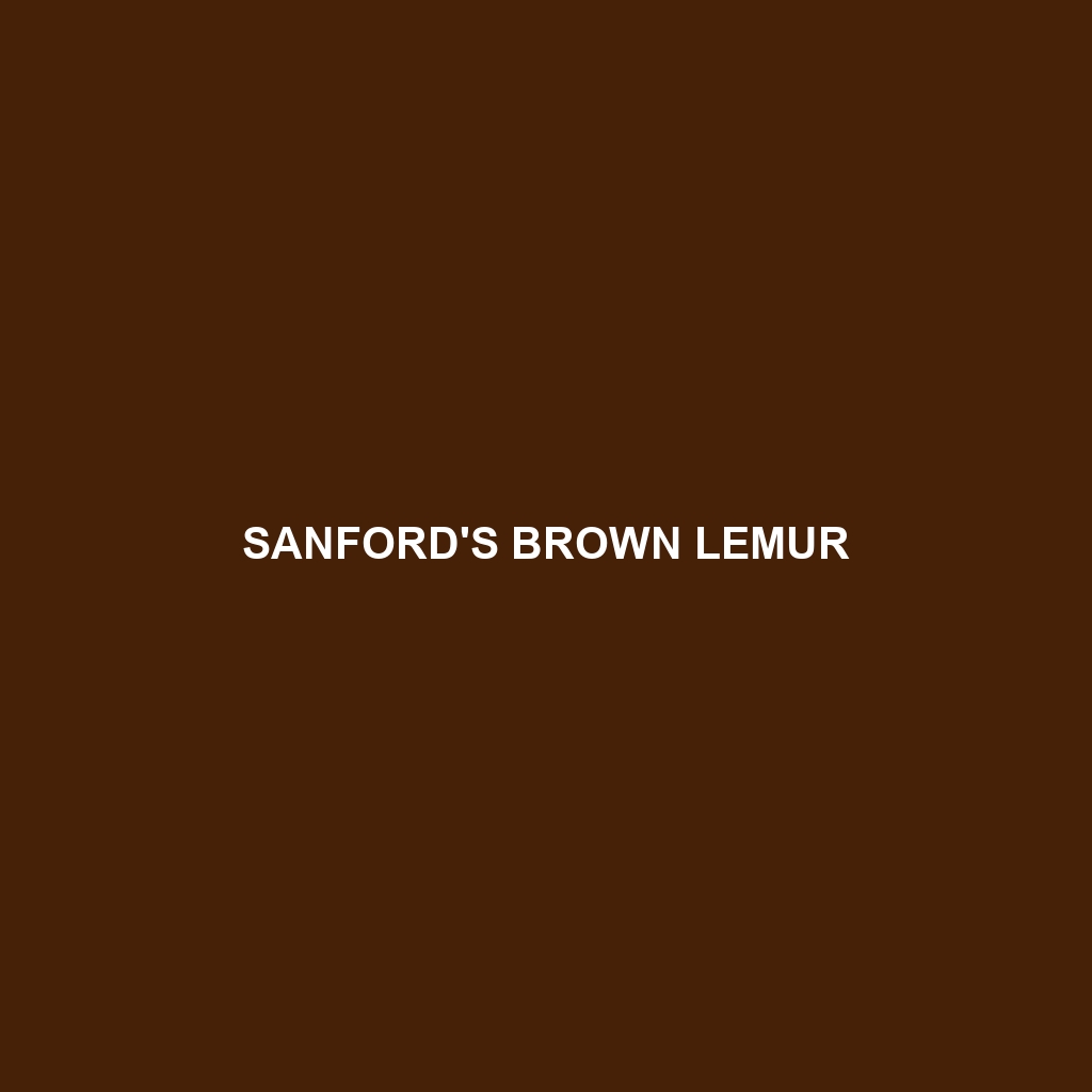 Sanford's Brown Lemur