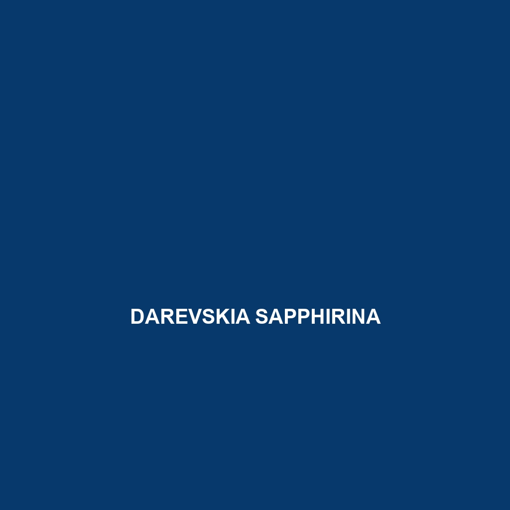 Darevskia sapphirina