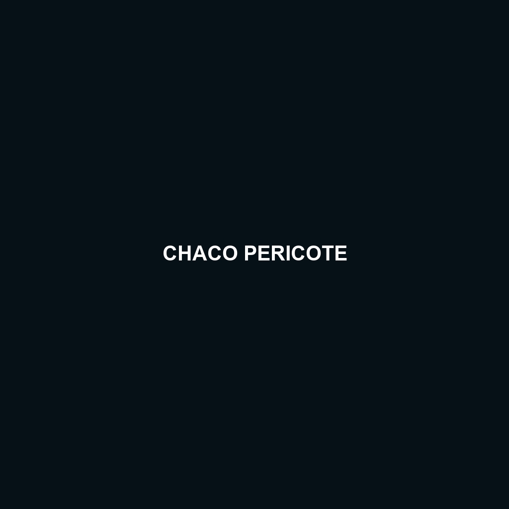 Chaco Pericote