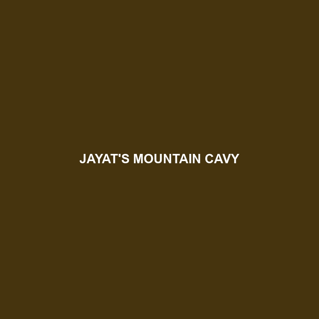 Jayat's Mountain Cavy