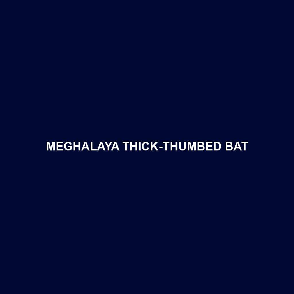 Meghalaya Thick-thumbed Bat