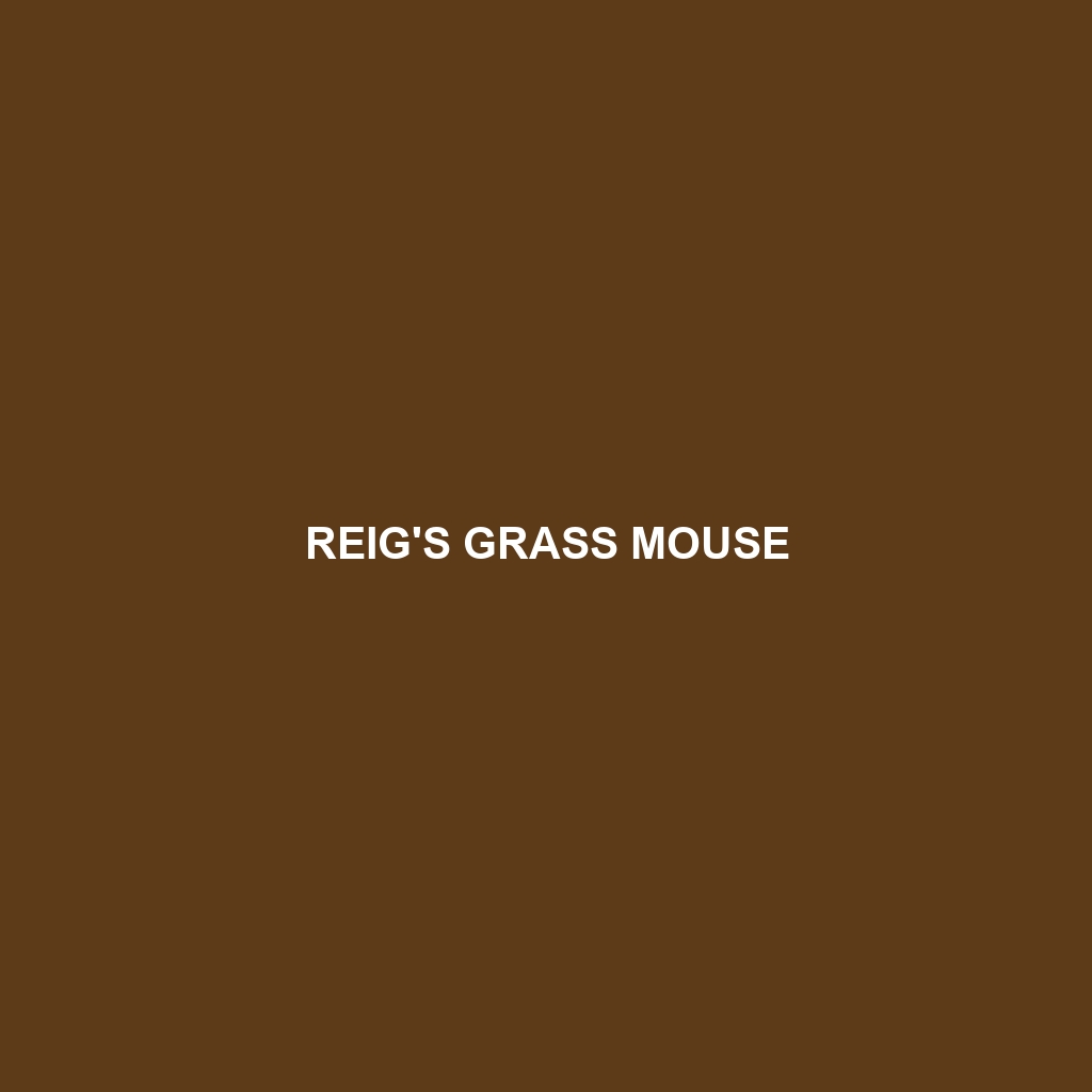 Reig's Grass Mouse