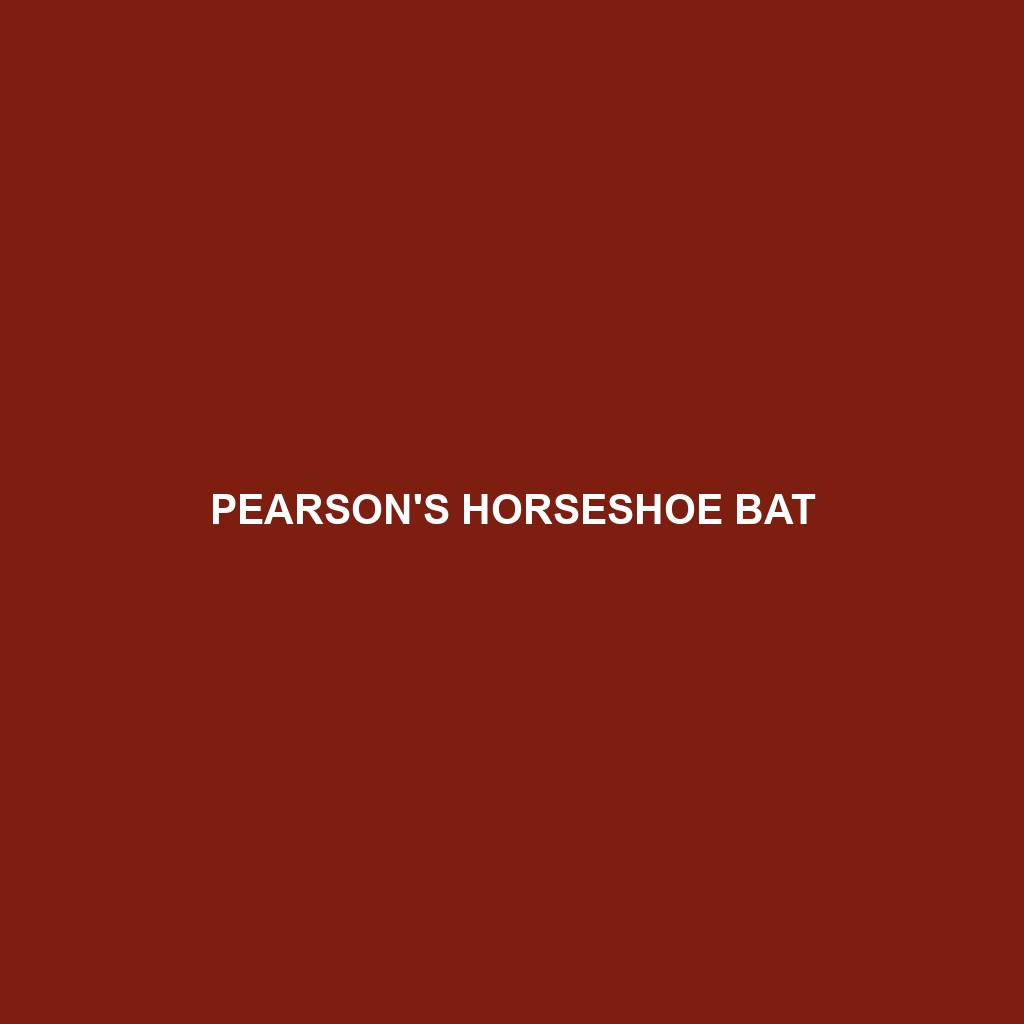 Pearson's Horseshoe Bat