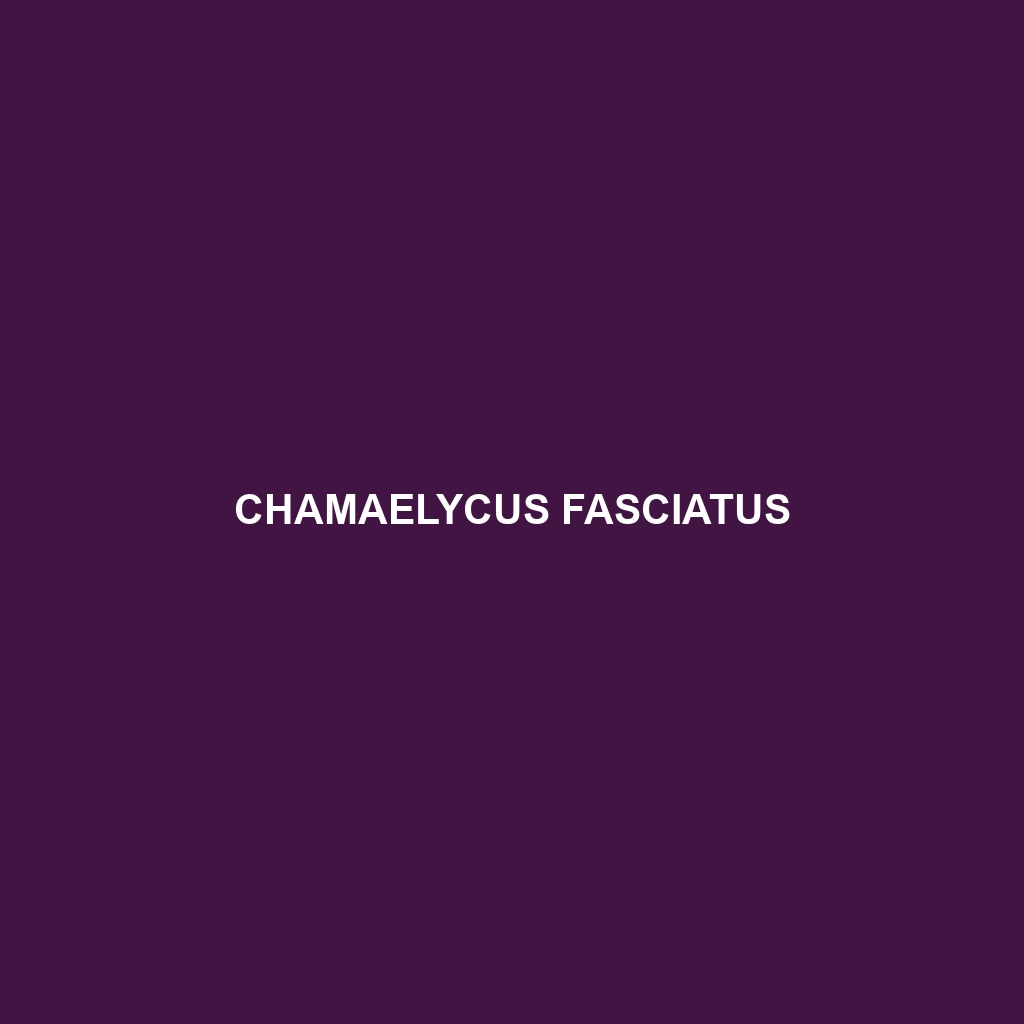 Chamaelycus fasciatus