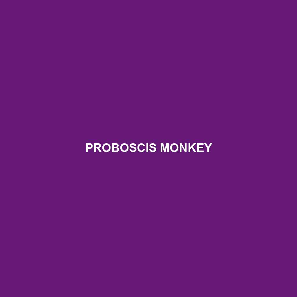 Proboscis Monkey