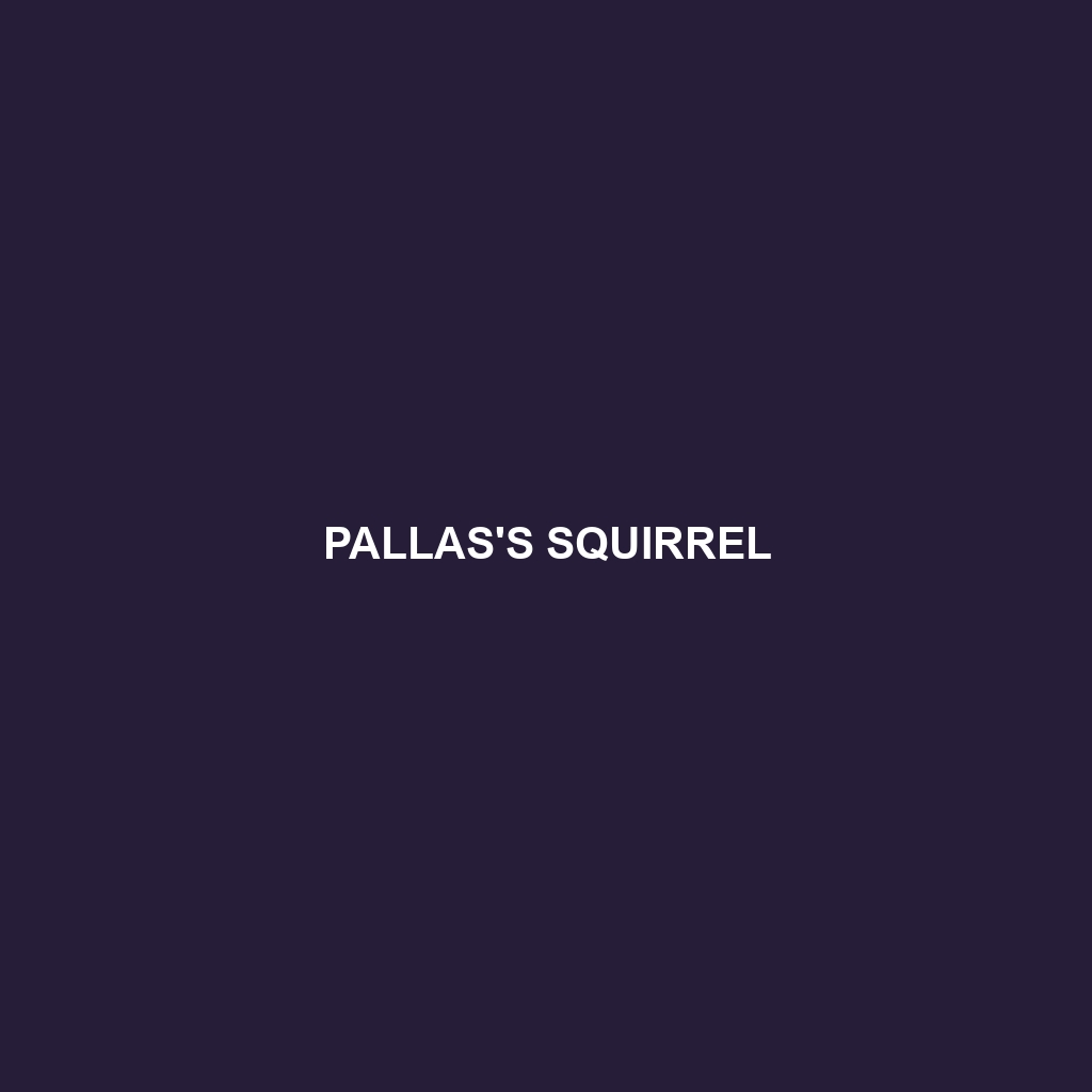 Pallas's Squirrel