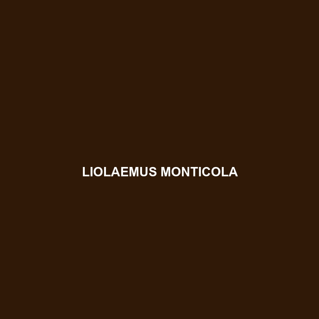 Liolaemus monticola