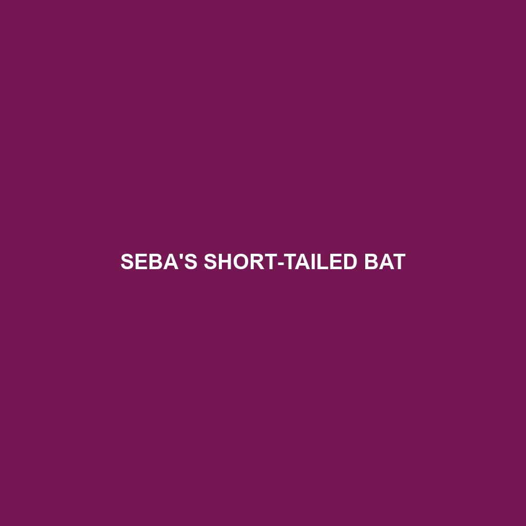 Seba's Short-tailed Bat