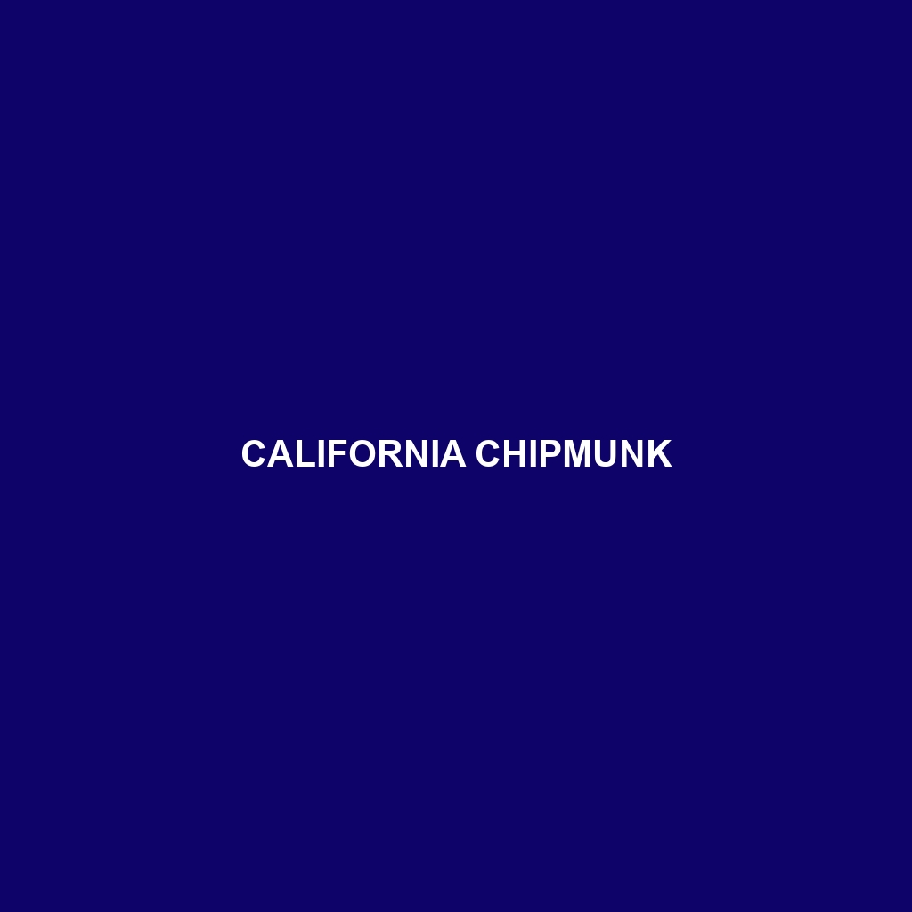 California Chipmunk