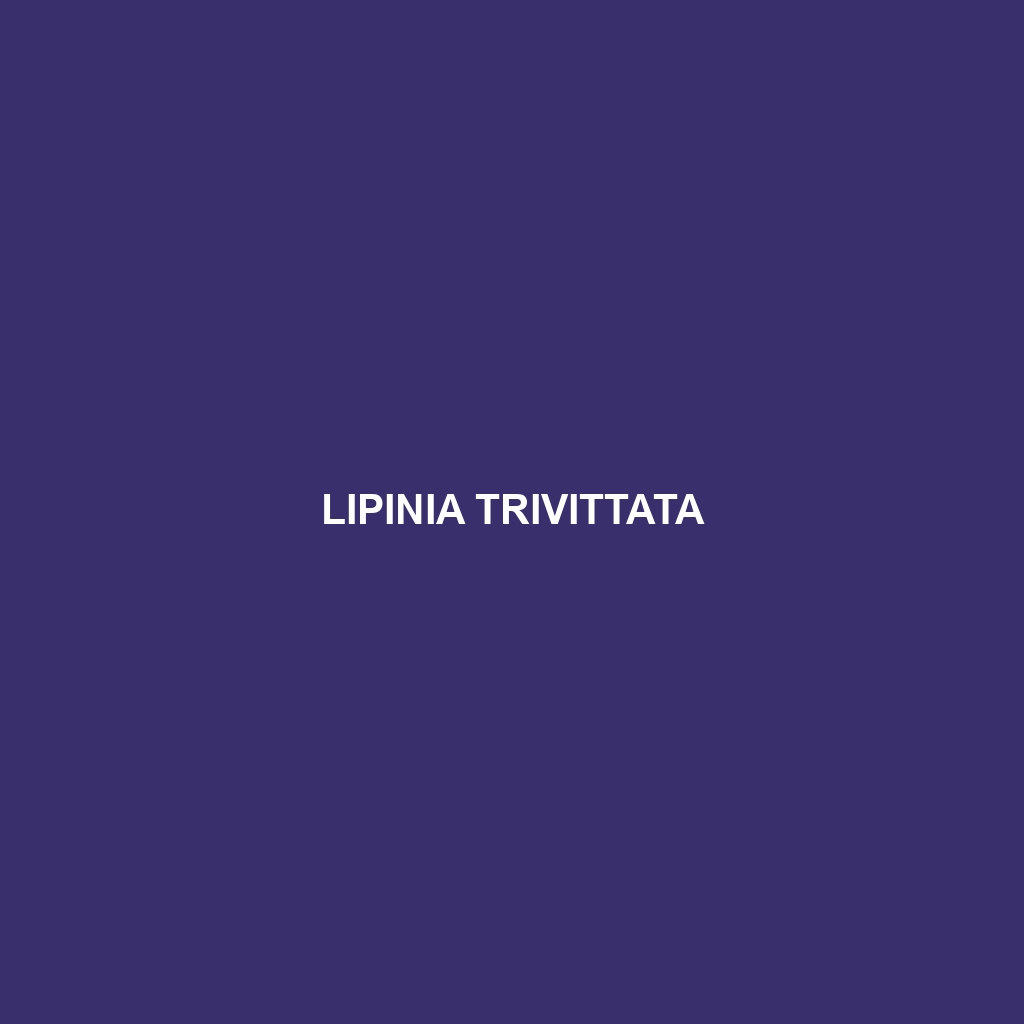 Lipinia trivittata