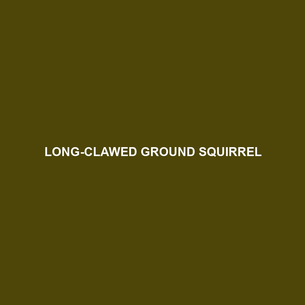 Long-clawed Ground Squirrel