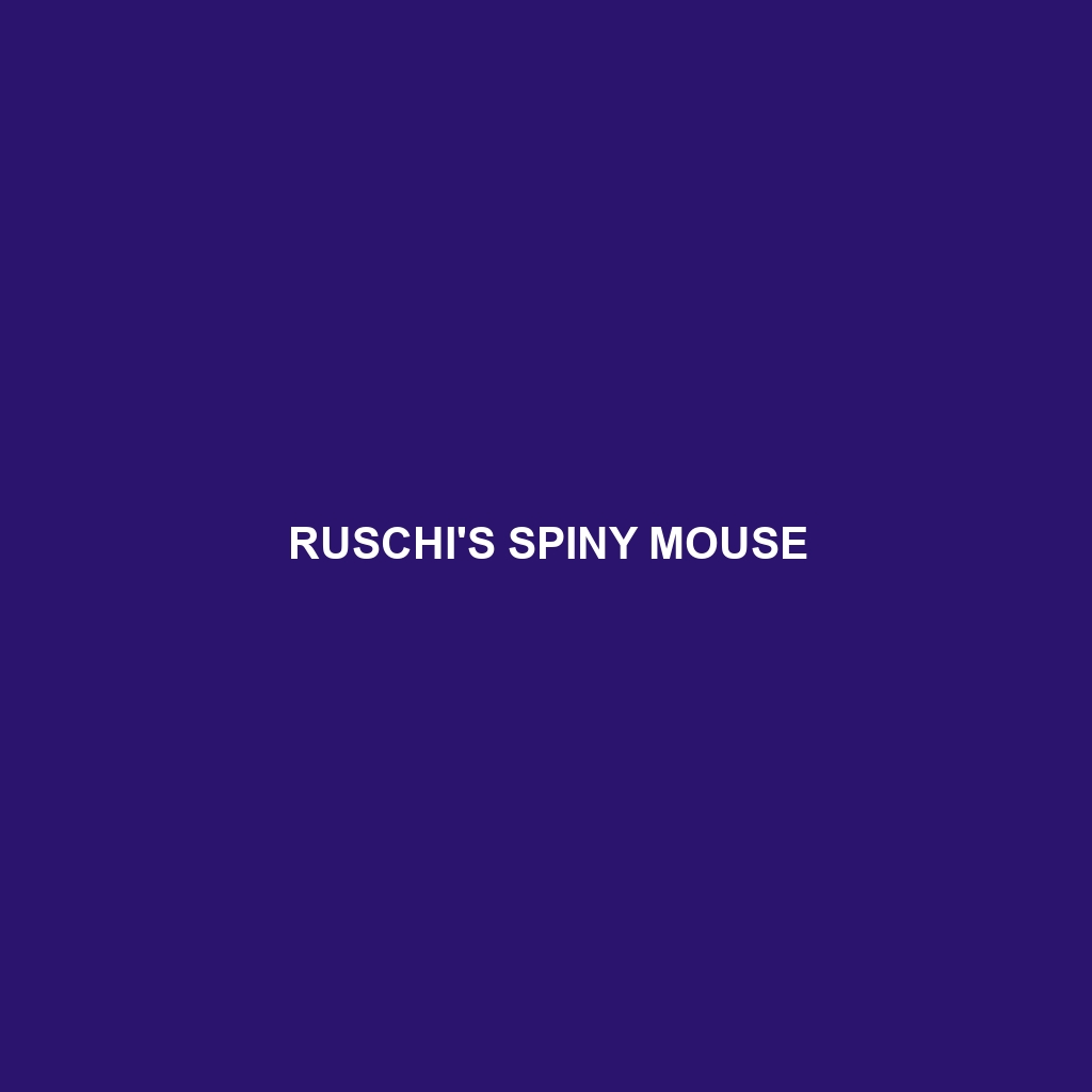 Ruschi's Spiny Mouse