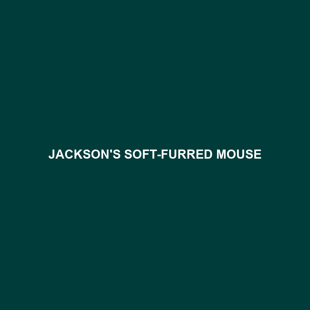 Jackson's Soft-furred Mouse