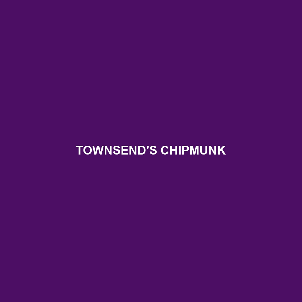 Townsend's Chipmunk