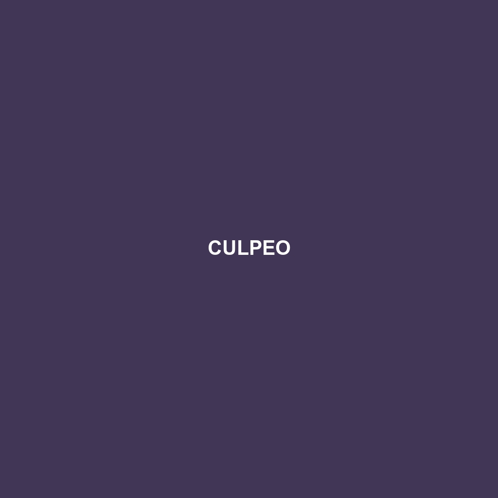 Culpeo