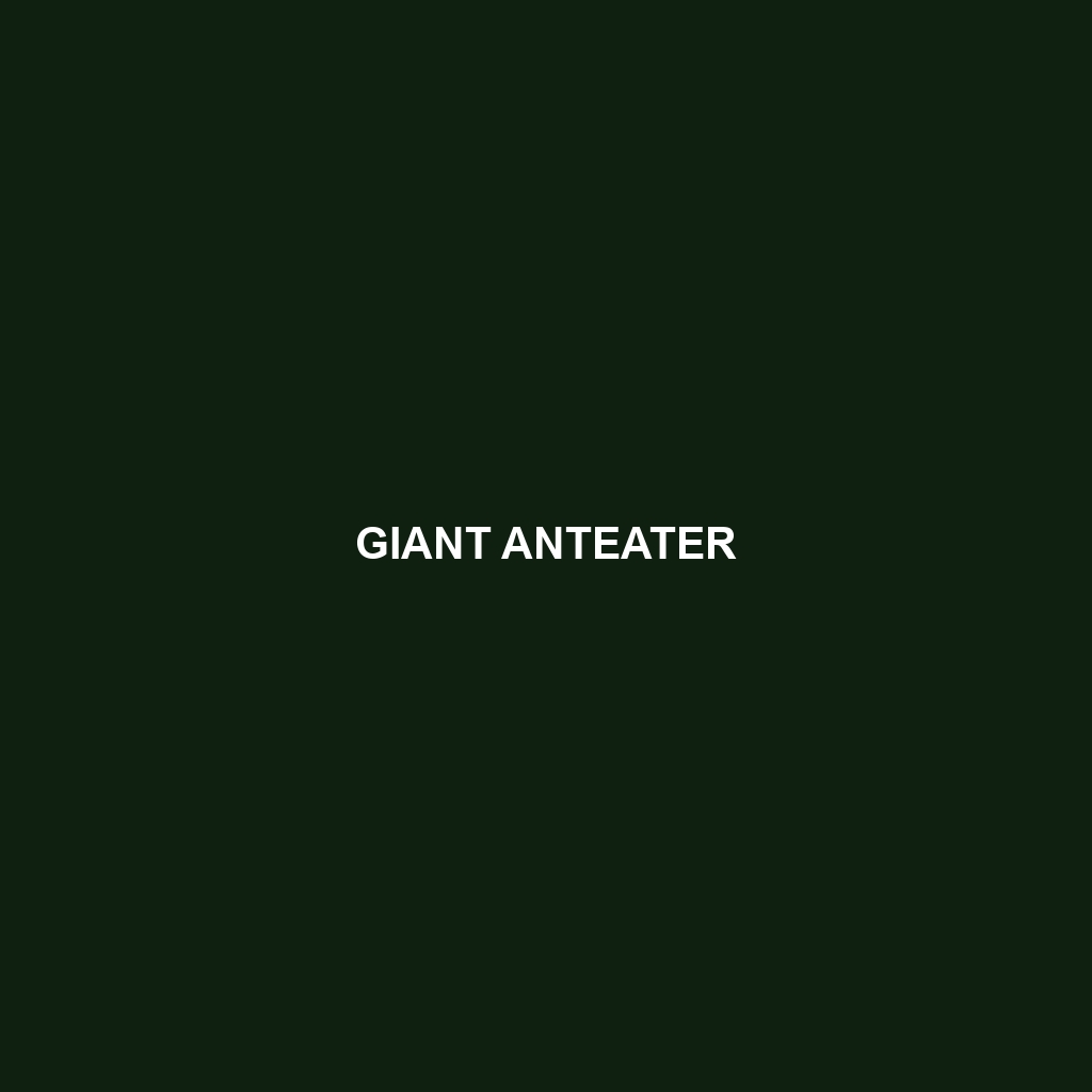 Giant Anteater