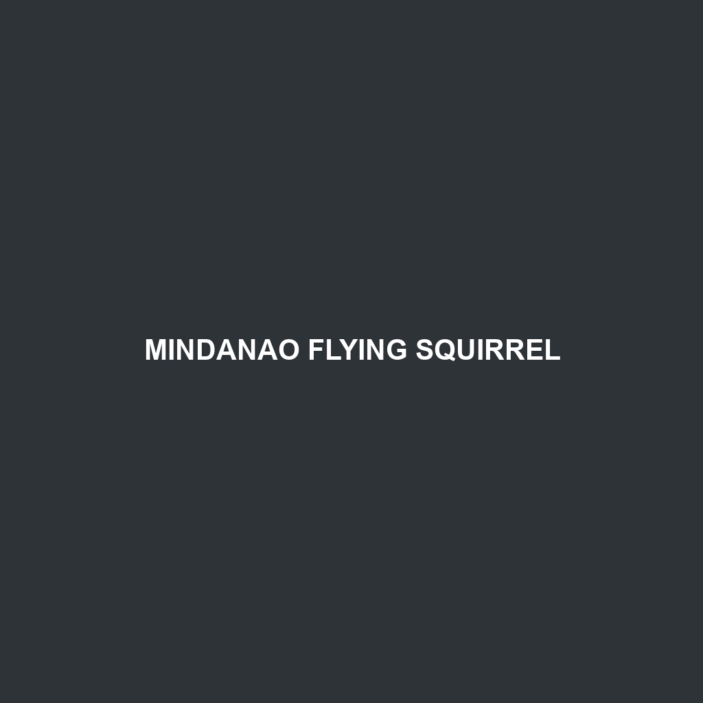 Mindanao Flying Squirrel