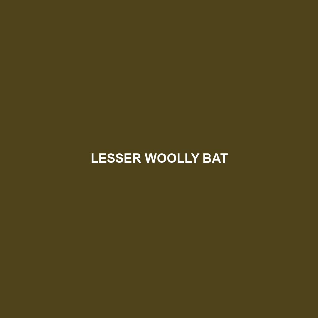 Lesser Woolly Bat