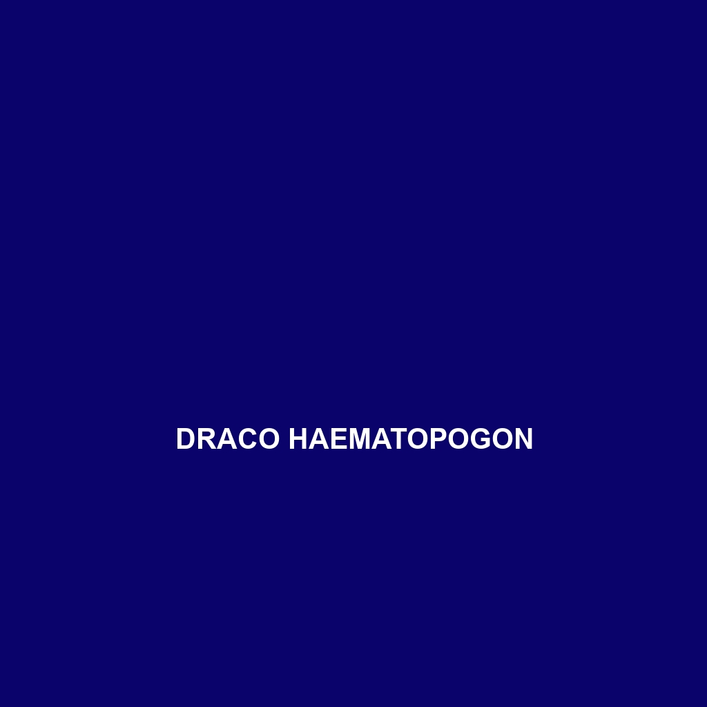 Draco haematopogon