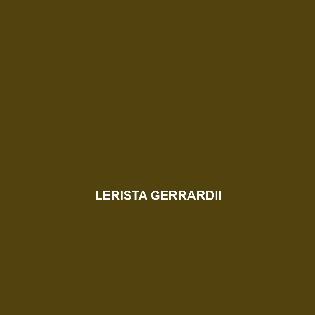 Lerista gerrardii