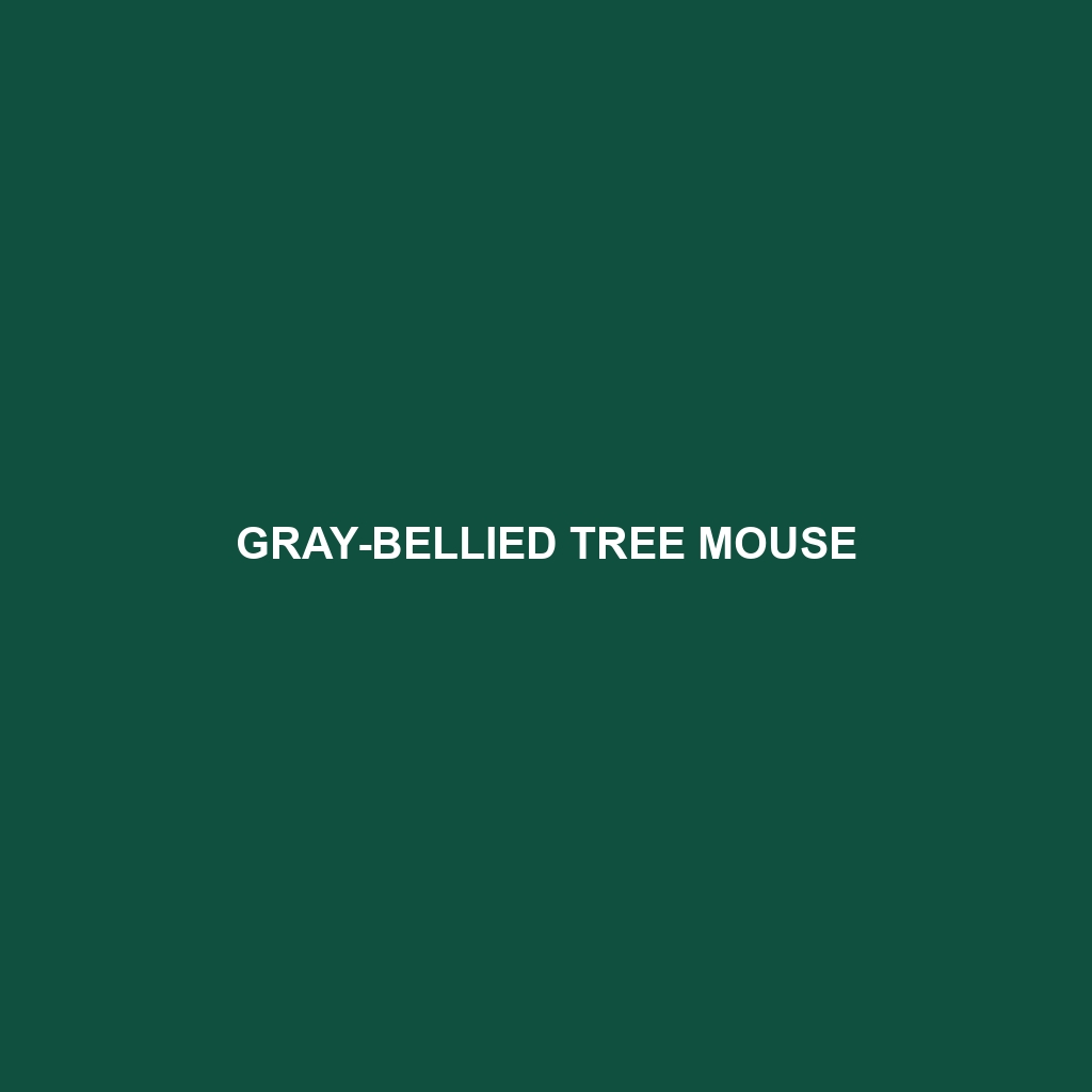 Gray-bellied Tree Mouse