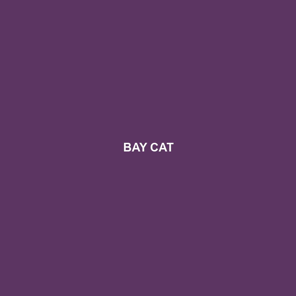 Bay Cat