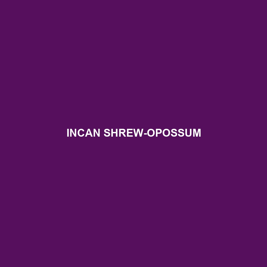 Incan Shrew-opossum