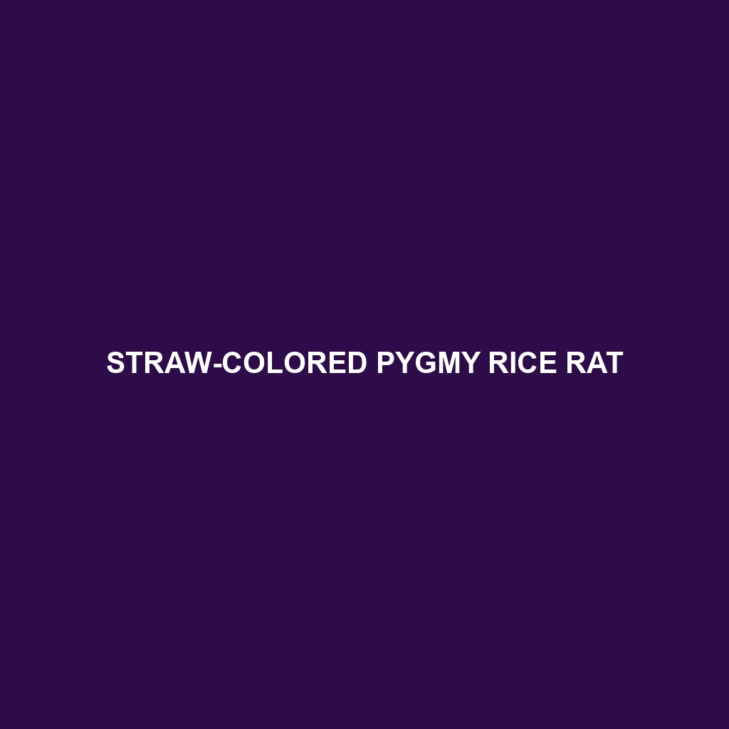 Straw-colored Pygmy Rice Rat