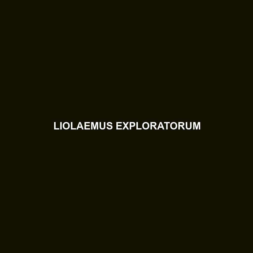 Liolaemus exploratorum